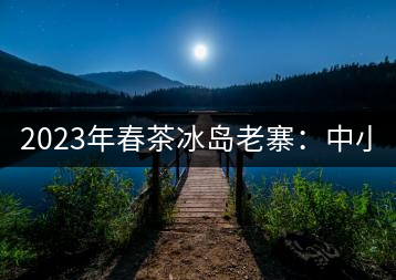 2023年春茶冰島老寨：中小樹混采2500-3000元／公斤，大樹：7000-8000元／公斤，古樹混采：28000-36000元／公斤
