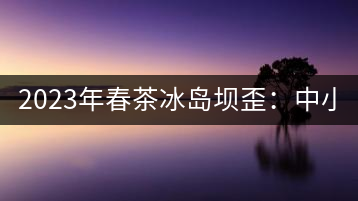 2023年春茶冰島壩歪：中小樹(shù)800元／公斤，古樹(shù)1400-1600元／公斤