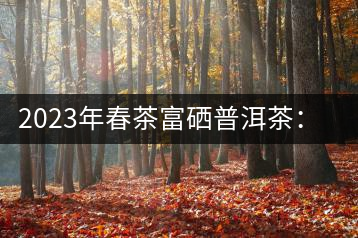 2023年春茶富硒普洱茶：1.富硒有機手工生普，市場指導價800元／公斤；2.富硒有機一級紅茶，市場指導價800元／公斤；3.富硒有機熟普餅，市場指導價1000元／公斤；4.富硒有機月光白茶，市場指導價800元／公斤。