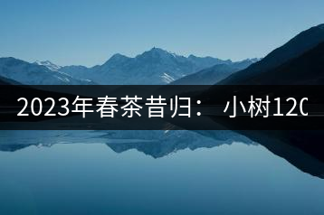 2023年春茶昔歸： 小樹1200-1600元／公斤，大樹4500-5200元／公斤，古樹7500-9000元／公斤.