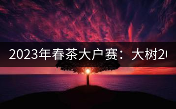 2023年春茶大戶賽：大樹(shù)200-300元／公斤，古樹(shù)800-1000元／公斤