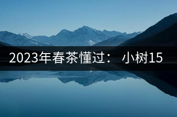 2023年春茶懂過: 小樹150元/公斤, 古樹400-600元/公斤