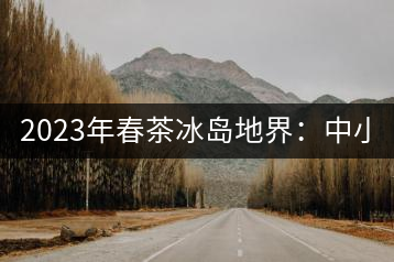 2023年春茶冰島地界：中小樹1300-1500元／公斤，古樹2200~2500元／公斤