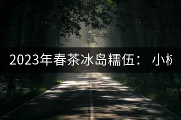 2023年春茶冰島糯伍： 小樹1300元／公斤，古樹：2100~2300元／公斤