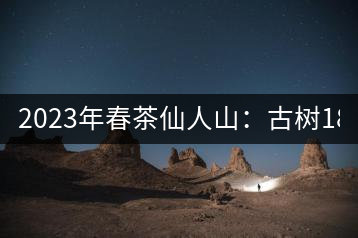 2023年春茶仙人山：古樹1800-2500元／公斤，老曼峨：小樹：600元／公斤 1600-1800元／公斤
