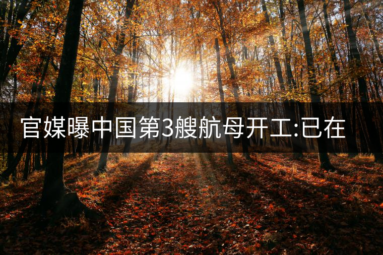 官媒曝中國第3艘航母開工:已在船臺(tái)建造