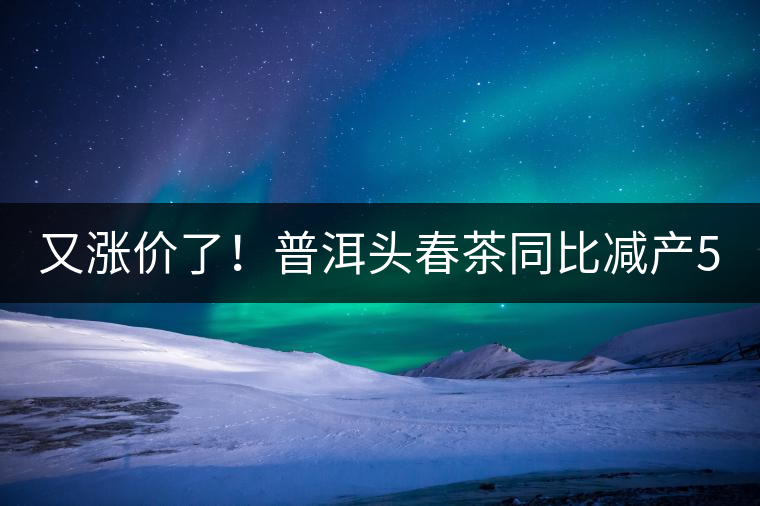 又漲價(jià)了！普洱頭春茶同比減產(chǎn)50%，薄荷塘一類鮮葉需當(dāng)面議價(jià)