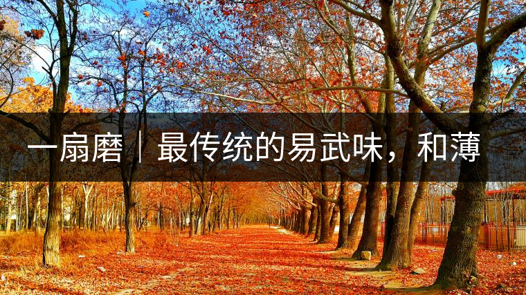 一扇磨｜最傳統(tǒng)的易武味，和薄荷塘一脈同宗，價格卻天差地別