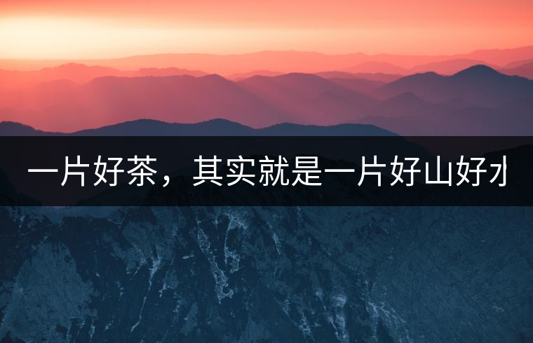 一片好茶，其實(shí)就是一片好山好水...一片好茶，其實(shí)就是一片好山好水...