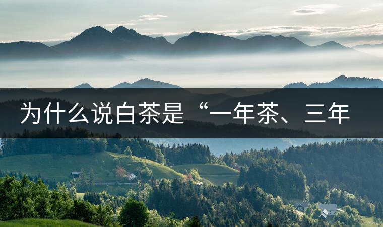 為什么說白茶是“一年茶、三年藥、七年寶”?為什么說白茶是“一年茶、三年藥、七年寶”？
