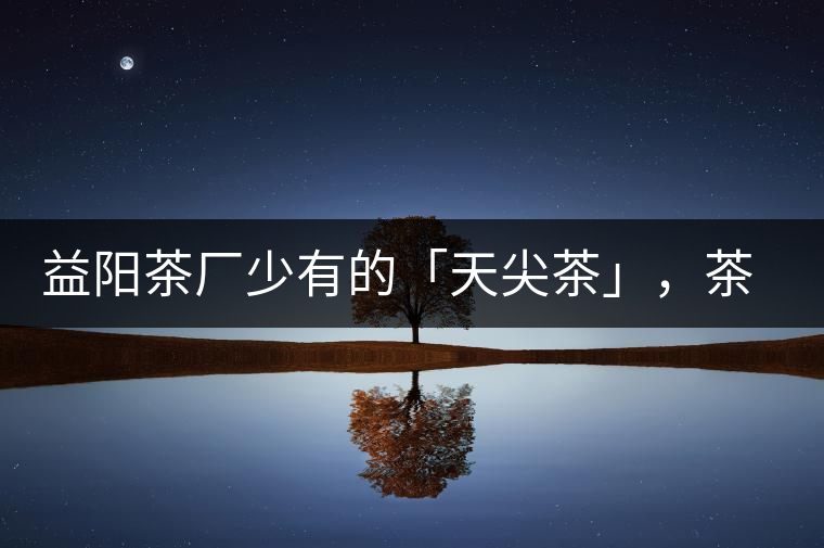 益陽茶廠少有的「天尖茶」，茶品升級，收藏趁早！