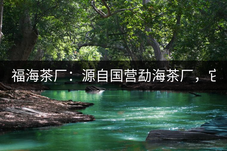福海茶廠：源自國(guó)營(yíng)勐海茶廠，它是99易武綠星星之母
