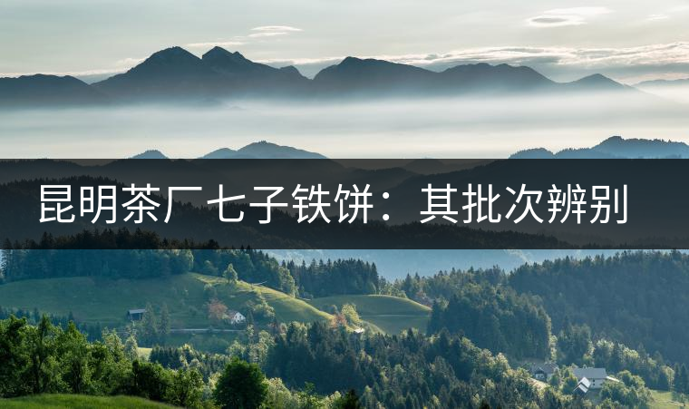 昆明茶廠七子鐵餅：其批次辨別、配方、年份大盤點！