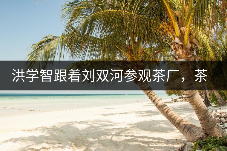 洪學(xué)智跟著劉雙河參觀茶廠，茶廠黃老板對(duì)賣苦力的百姓百般欺凌