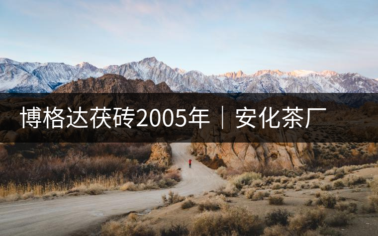 博格達(dá)茯磚2005年｜安化茶廠定制款，金花滿披，梅山韻濃！