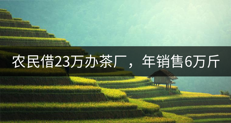 農(nóng)民借23萬辦茶廠，年銷售6萬斤，每天休息僅20分鐘!農(nóng)民借23萬辦茶廠，年銷售6萬斤，每天休息僅20分鐘！