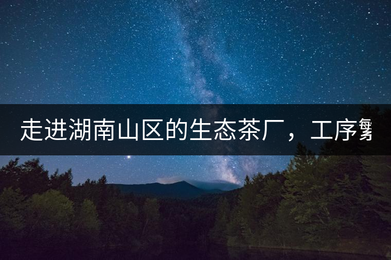 走進湖南山區(qū)的生態(tài)茶廠，工序繁雜精細，538塊錢1斤真值走進湖南山區(qū)的生態(tài)茶廠，工序繁雜精細，538塊錢1斤真值