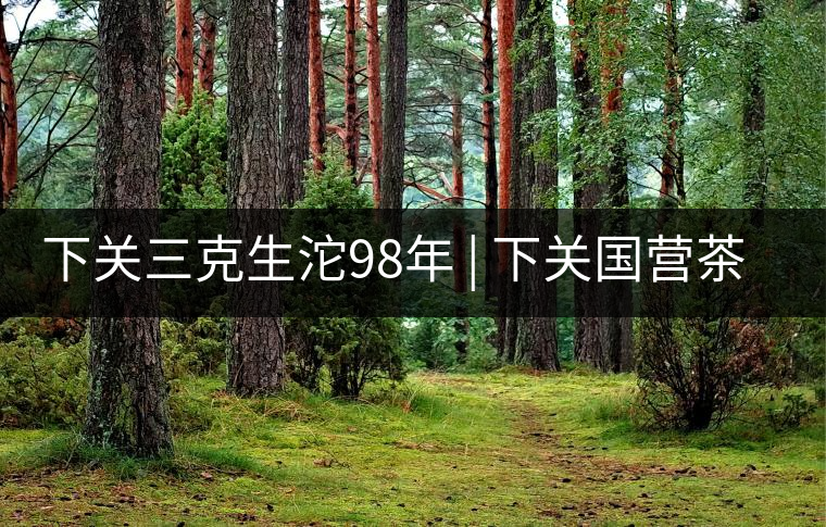 下關(guān)三克生沱98年 | 下關(guān)國營茶廠出口料，干倉儲存，...下關(guān)三克生沱98年 | 下關(guān)國營茶廠出口料，干倉儲存，19年老茶！
