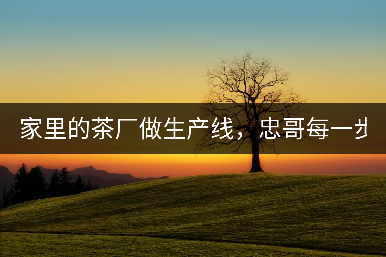 家里的茶廠做生產(chǎn)線，忠哥每一步都親自做，每個步驟...家里的茶廠做生產(chǎn)線，忠哥每一步都親自做，每個步驟都非常嚴謹！