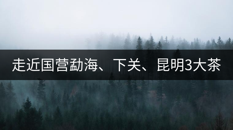走近國(guó)營(yíng)勐海、下關(guān)、昆明3大茶廠，傳世代表作的發(fā)展詳...走近國(guó)營(yíng)勐海、下關(guān)、昆明3大茶廠，傳世代表作的發(fā)展詳解