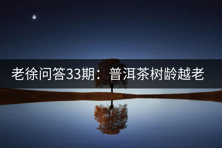 老徐問(wèn)答33期：普洱茶樹齡越老越貴，那100年樹齡的老班章呢？