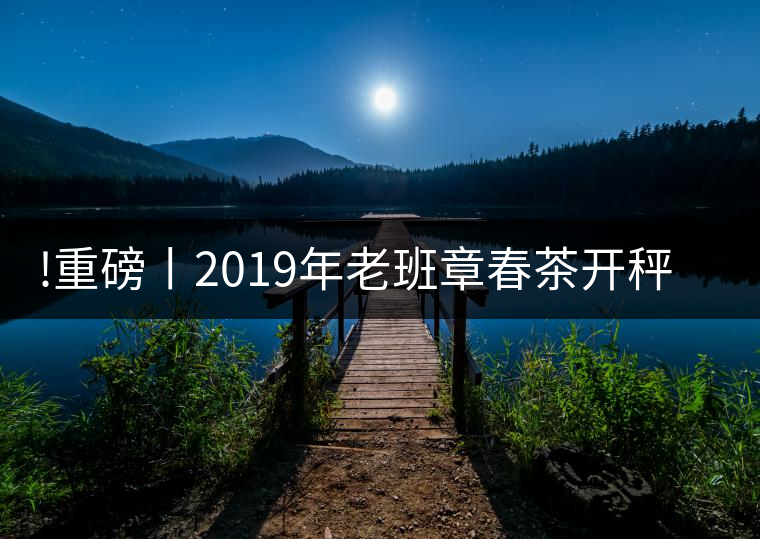 !重磅丨2019年老班章春茶開秤，一筆定價(jià)？如此出人意料！