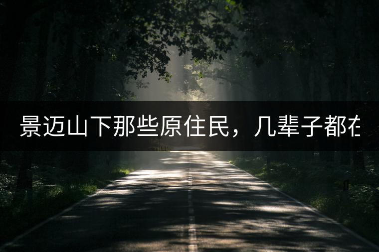 景邁山下那些原住民，幾輩子都在采茶、制茶，才有最...景邁山下那些原住民，幾輩子都在采茶、制茶，才有最好喝的普洱