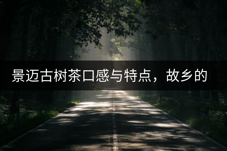 景邁古樹茶口感與特點，故鄉(xiāng)的普洱茶