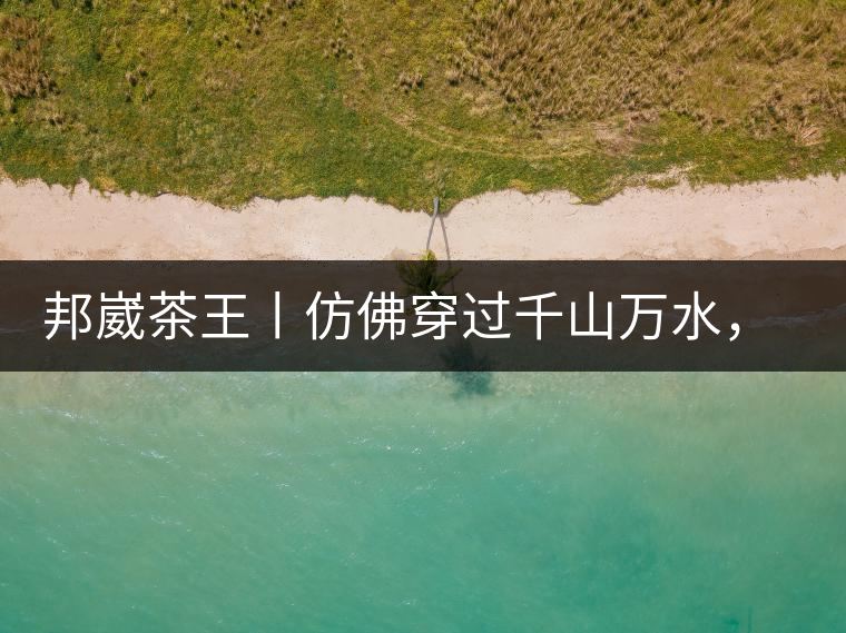 邦崴茶王丨仿佛穿過千山萬水，就是為了它而來邦崴茶王丨仿佛穿過千山萬水，就是為了它而來