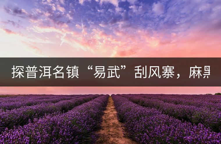 探普洱名鎮(zhèn)“易武”刮風(fēng)寨，麻黑，落水洞!小編親自下...探普洱名鎮(zhèn)“易武”刮風(fēng)寨，麻黑，落水洞！小編親自下手“殺青”