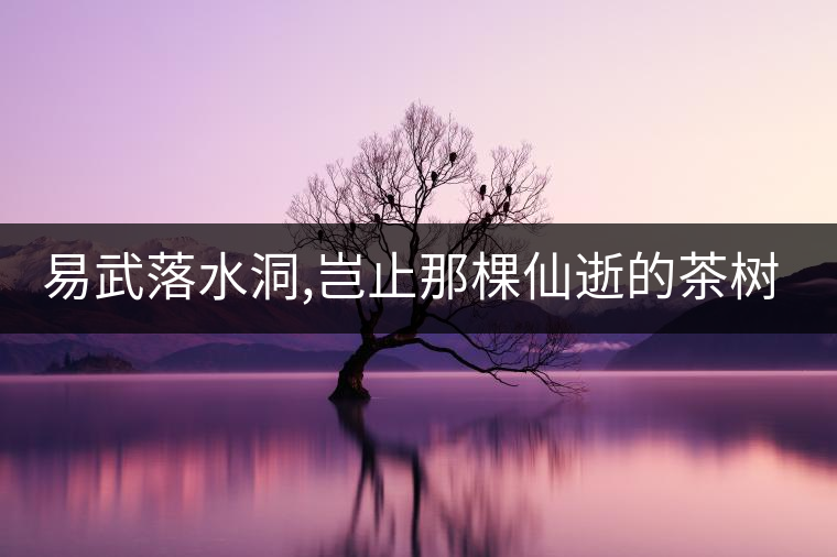 易武落水洞,豈止那棵仙逝的茶樹王?易武落水洞,豈止那棵仙逝的茶樹王？