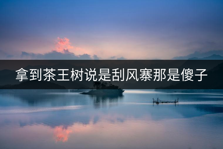 拿到茶王樹說(shuō)是刮風(fēng)寨那是傻子