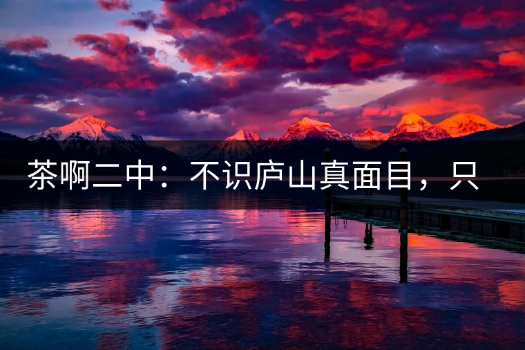 茶啊二中：不識廬山真面目，只識彎弓射大雕，賈淳真搞笑