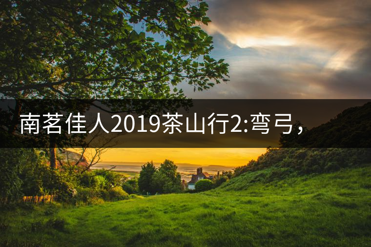 南茗佳人2019茶山行2:彎弓，一路艱辛，只為這有生命...南茗佳人2019茶山行2：彎弓，一路艱辛，只為這有生命厚度的茶！