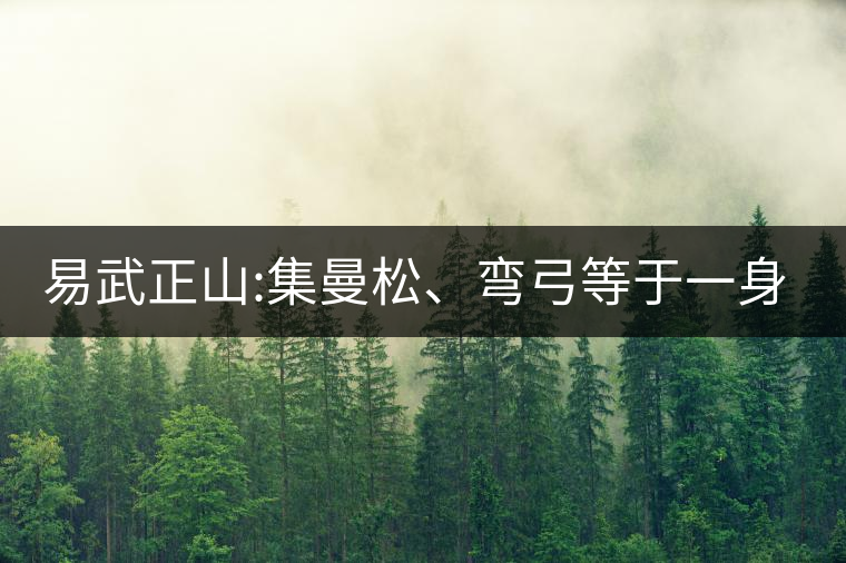 易武正山:集曼松、彎弓等于一身的貴族老黃片，好喝沒得...易武正山：集曼松、彎弓等于一身的貴族老黃片，好喝沒得說
