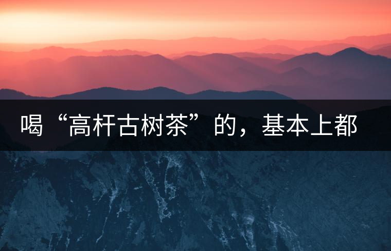 喝“高桿古樹茶”的，基本上都是不懂茶的