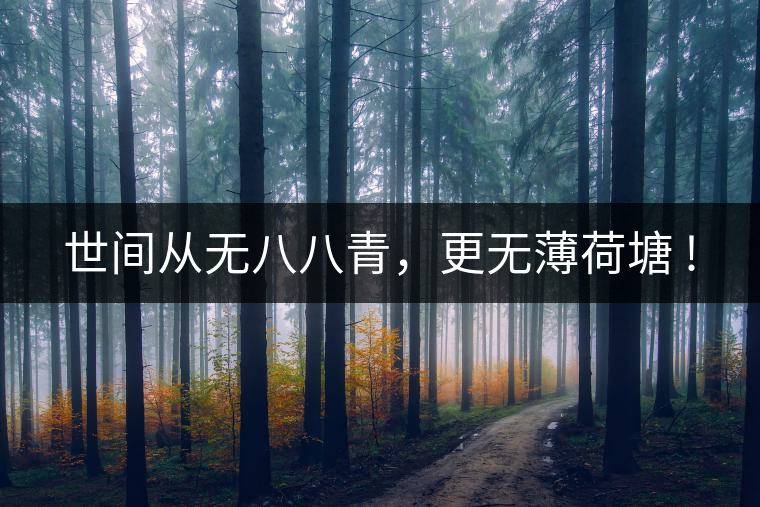 世間從無(wú)八八青，更無(wú)薄荷塘 !