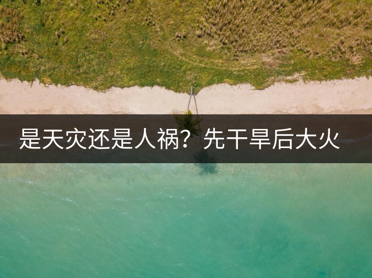 是天災(zāi)還是人禍？先干旱后大火，普洱茶將何去何從？