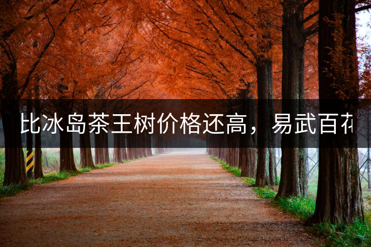 比冰島茶王樹價(jià)格還高，易武百花潭高桿古樹茶以100萬成...比冰島茶王樹價(jià)格還高，易武百花潭高桿古樹茶以100萬成交