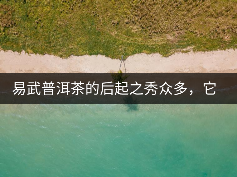 易武普洱茶的后起之秀眾多，它是還沒(méi)漲價(jià)的一個(gè)！