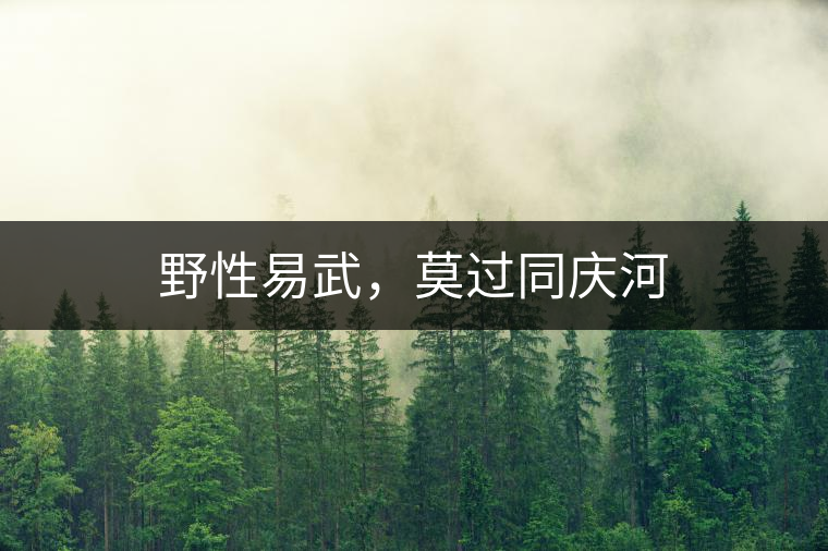 野性易武，莫過同慶河