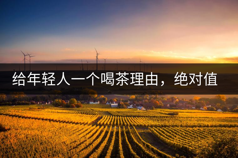 給年輕人一個喝茶理由，絕對值得收藏的茶葉包裝給年輕人一個喝茶理由，絕對值得收藏的茶葉包裝
