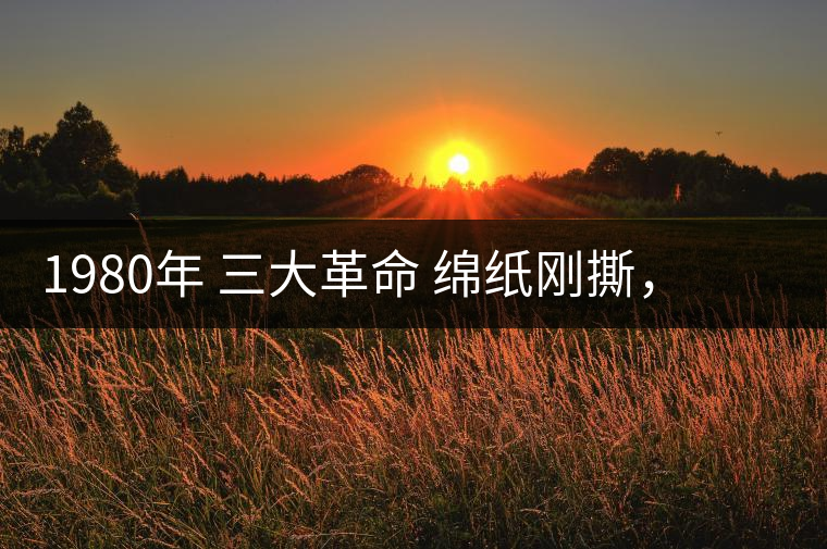 1980年 三大革命 綿紙剛撕，品相極好，整體干凈漂亮1980年 三大革命 綿紙剛撕，品相極好，整體干凈漂亮
