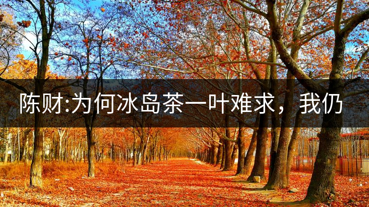 陳財:為何冰島茶一葉難求，我仍然堅持
