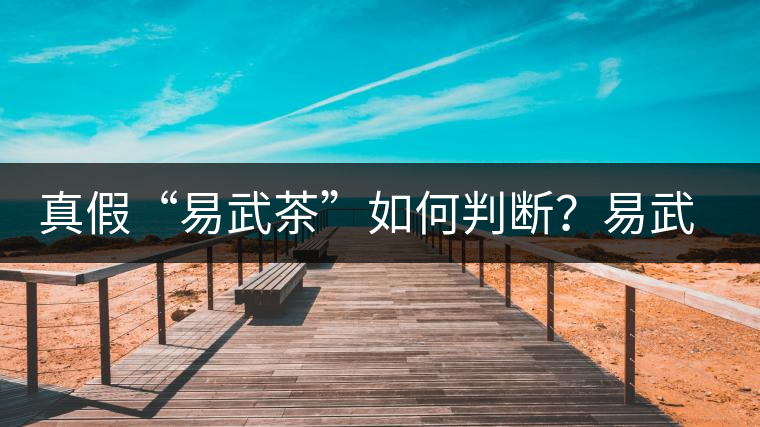 真假“易武茶”如何判斷？易武普洱茶有哪些特點？