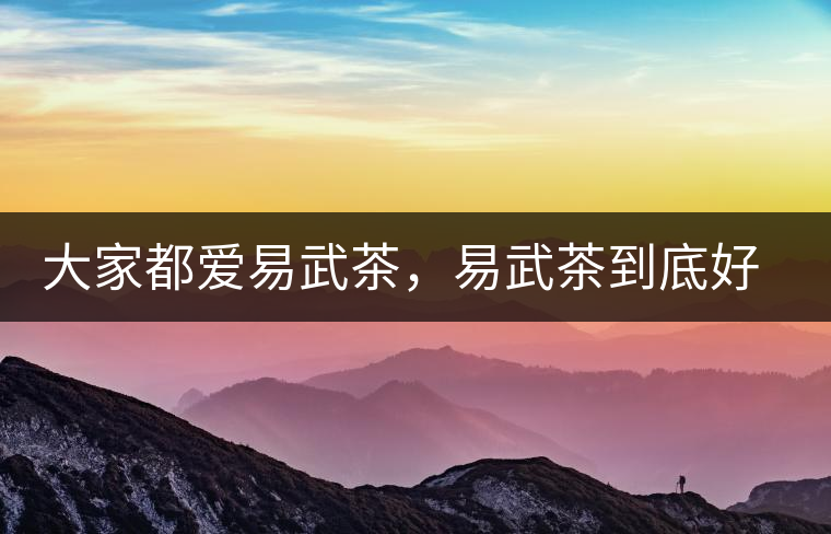 大家都愛易武茶，易武茶到底好在哪兒?大家都愛易武茶，易武茶到底好在哪兒？