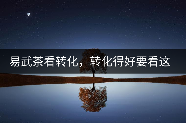 易武茶看轉化，轉化得好要看這三要素及品牌優(yōu)勢！