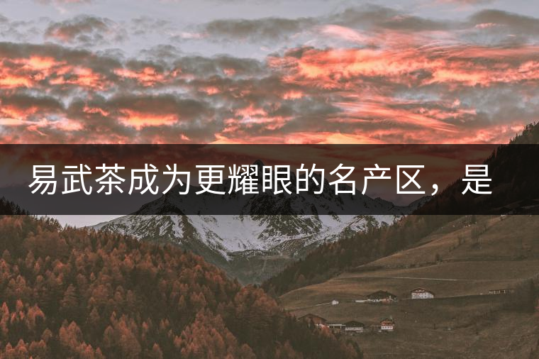 易武茶成為更耀眼的名產(chǎn)區(qū)，是歷史的回歸，是未來市場的必然導(dǎo)向