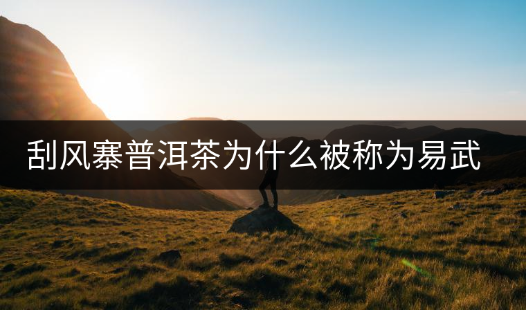 刮風(fēng)寨普洱茶為什么被稱為易武茶王？