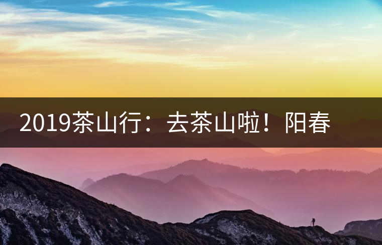 2019茶山行：去茶山啦！陽(yáng)春三月，和南茗佳人一起上山喝好茶！
